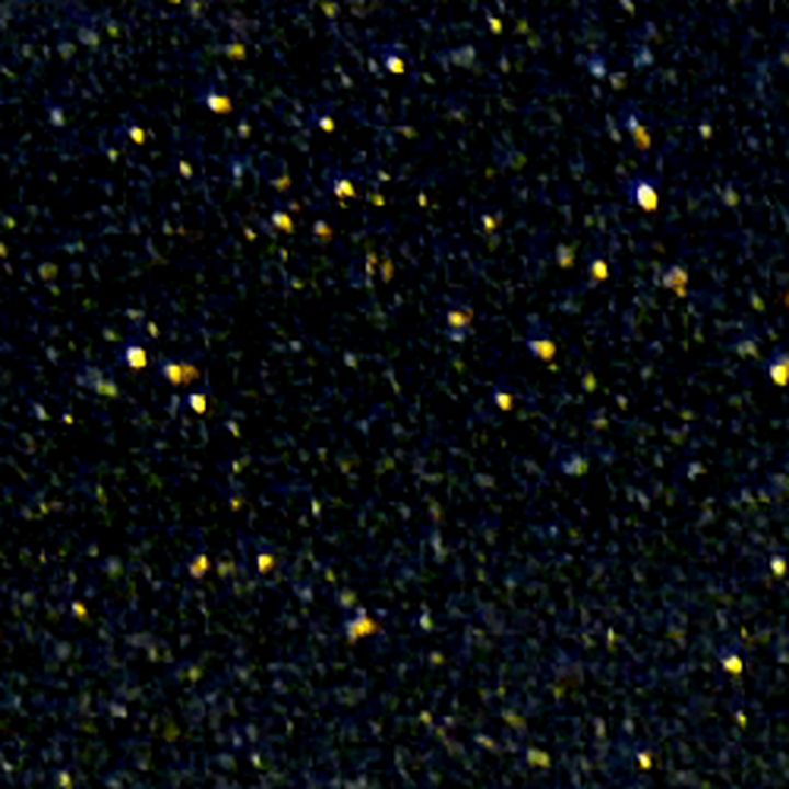 Granit Star Galaxy Noir pailleté